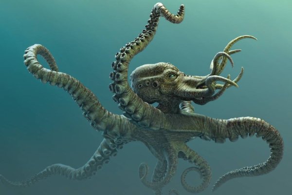 Что такое kraken 2krn cc