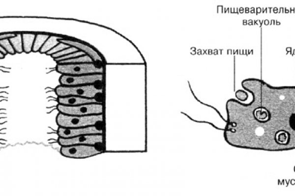 Можно ли вывести деньги с кракена