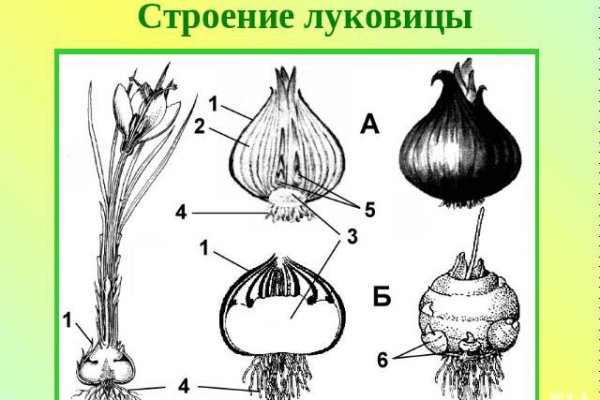 Кракен сайт как зайти